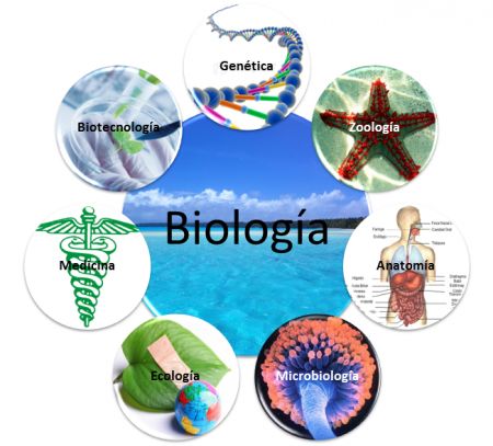 BIOLOGÍA II